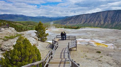 yellowstone park trip packages